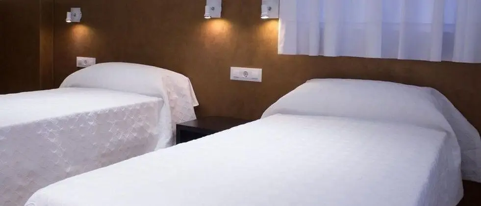 Standard Tek Büyük Yataklı Oda, 2 Tek Kişilik Yatak, Banyolu/Duşlu