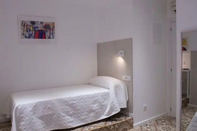 Standard Tek Büyük Yataklı Oda, 2 Tek Kişilik Yatak, Banyolu/Duşlu