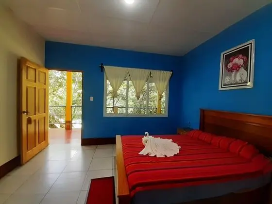 Standard Tek Büyük Yataklı Oda, 1 Çift Kişilik Yatak, Özel Banyo