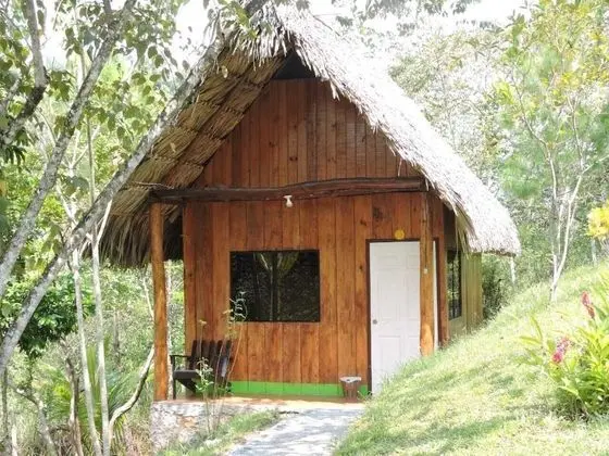 Standard Tek Büyük Yataklı Oda, 1 Çift Kişilik Yatak, Özel Banyo