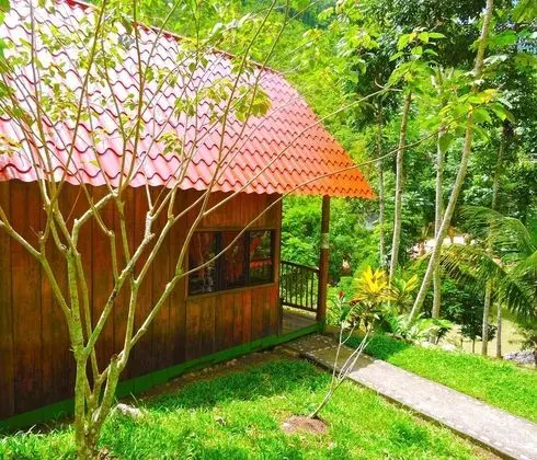 Standard Üç Kişilik Oda, Özel Banyo (1 Double and 1 Single Bed)