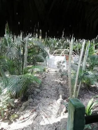 İki Ayrı Yataklı Oda, Bahçe Manzaralı (FAN)