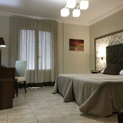 Superior Tek Büyük Yataklı Oda