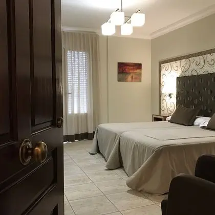 Superior Tek Büyük Yataklı Oda