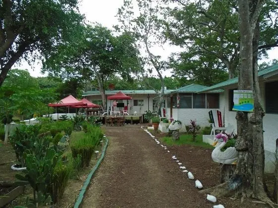 Family Bungalov, Avlu Manzaralı