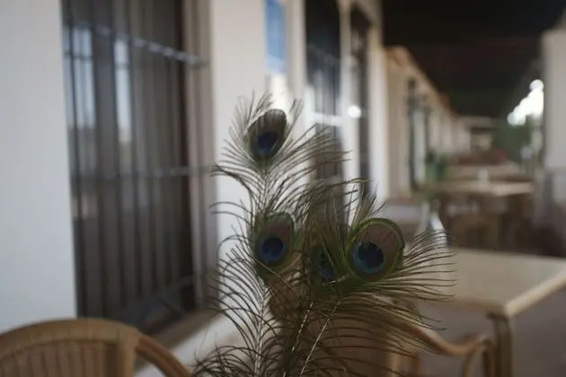 Basic Tek Büyük Yataklı Oda