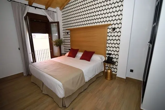 Superior Tek Büyük Yataklı Oda