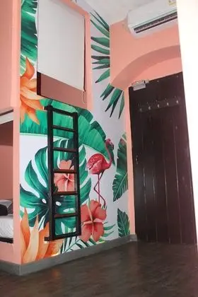 Standard Ortak Ranzalı Oda, Karma Ranzalı Oda