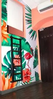 Standard Ortak Ranzalı Oda, Karma Ranzalı Oda