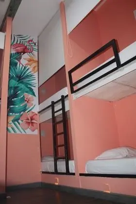 Standard Ortak Ranzalı Oda, Karma Ranzalı Oda
