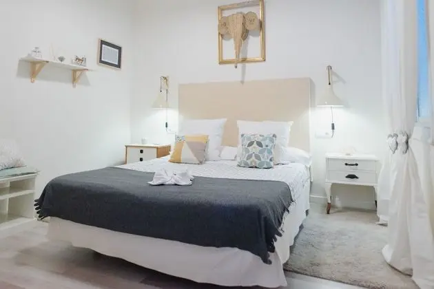 Standard Tek Büyük Yataklı Oda, Banyolu/Duşlu