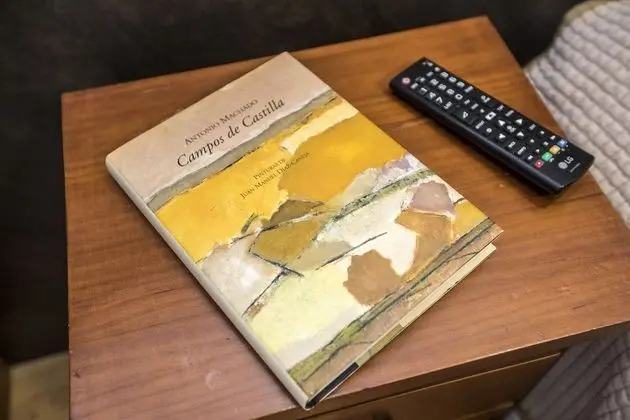 Standard Tek Büyük Yataklı Oda, 1 Çift Kişilik Yatak