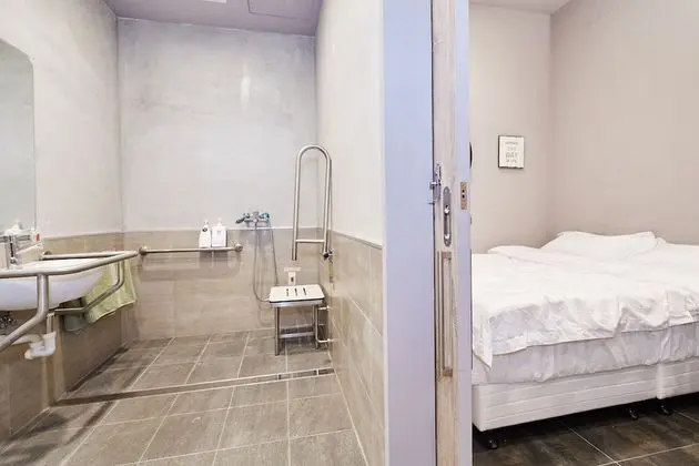 Standard Tek Büyük Yataklı Oda, 1 Çift Kişilik Yatak, Engellilere Uygun, Özel Banyo
