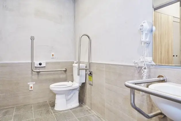 Standard Tek Büyük Yataklı Oda, 1 Çift Kişilik Yatak, Engellilere Uygun, Özel Banyo