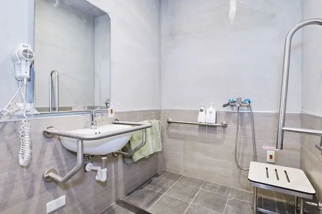 Standard Tek Büyük Yataklı Oda, 1 Çift Kişilik Yatak, Engellilere Uygun, Özel Banyo