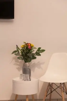 Standard İki Ayrı Yataklı Oda, Bahçe Manzaralı