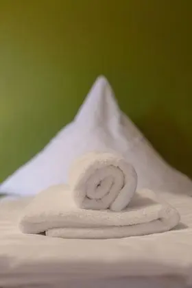 Standard İki Ayrı Yataklı Oda, Bahçe Manzaralı