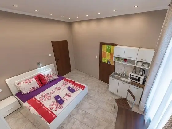 Tek Büyük Yataklı Oda, Özel Banyo (Kitchenette)