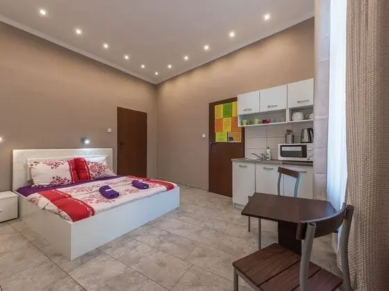 Tek Büyük Yataklı Oda, Özel Banyo (Kitchenette)