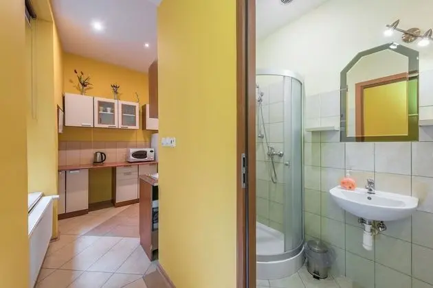 Tek Büyük Yataklı Oda, Özel Banyo (Kitchenette)