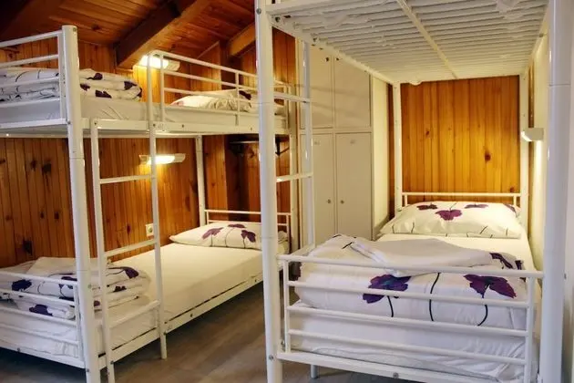 1 Bed in 8 Bedded Mixed Dormitory