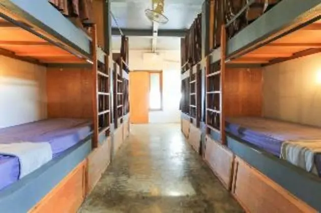 Bed in dormitory