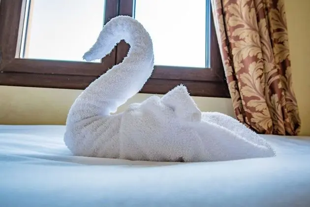 Bed in a 4-Bed Shared Dormitory