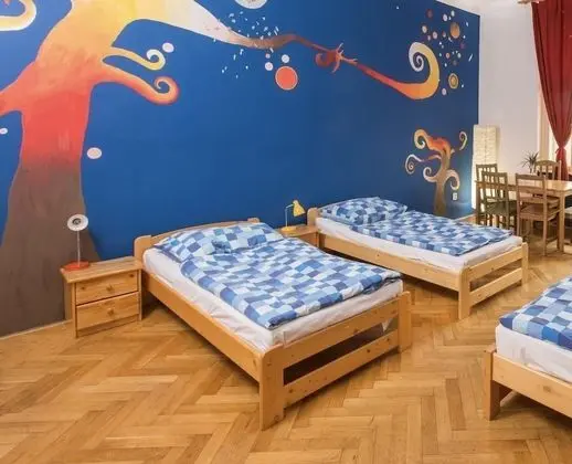 Premium Ortak Ranzalı Oda, Sadece kadınlar için