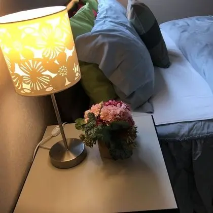 Deluxe Apart Daire, Birden Çok Yatak, Sigara İçilmez