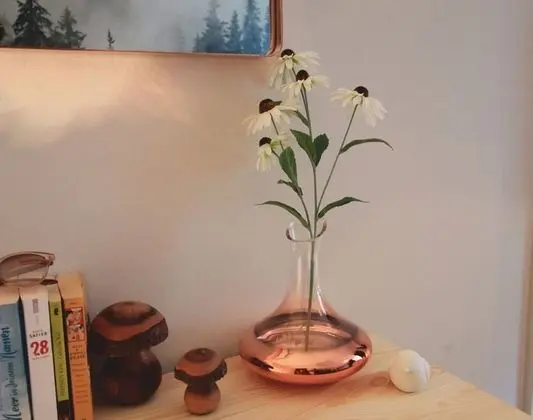 Tek Büyük Yataklı Oda, Ortak Banyo (BergNest)