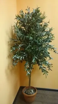 Standard Oda, Karma Ranzalı Oda, Sigara İçilmez (Bed in 4-Bed Room )