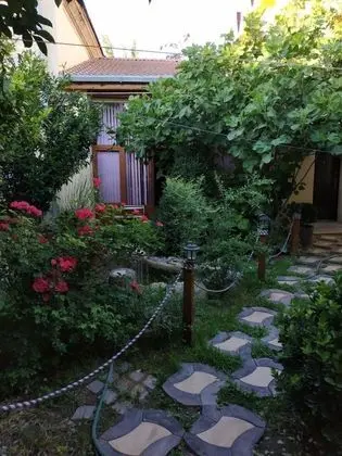 Economy Ortak Ranzalı Oda (12 beds)