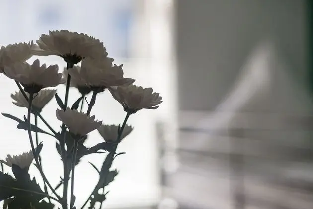 Basic İki Ayrı Yataklı Oda