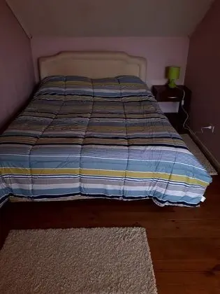 Tek Büyük Yataklı Oda, 1 Çift Kişilik Yatak, Ortak Banyo (#3)