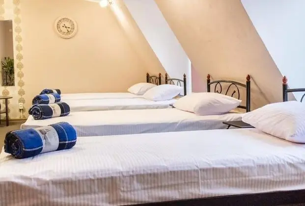 Ortak Ranzalı Oda, Karma Ranzalı Oda (Bed in 7-Bed Dormitory)