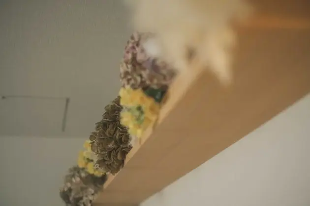 Superior Tek Büyük Yataklı Oda, Ortak Banyo