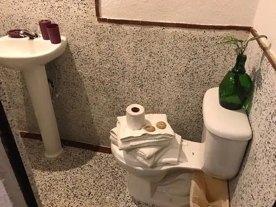 Basic Tek Büyük Yataklı Oda, 1 Çift Kişilik Yatak, Sigara İçilmez, Özel Banyo