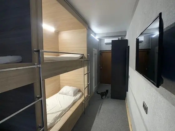 Premium Ortak Ranzalı Oda, Karma Ranzalı Oda (4 guests)