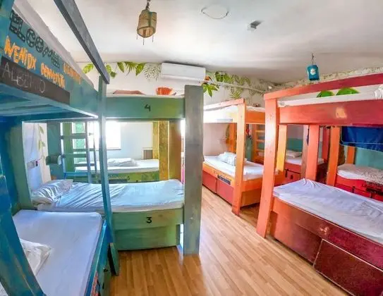 SURF Shared Dormitory (14 Beds)