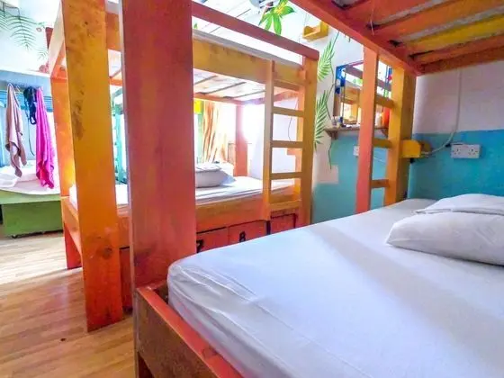 SURF Shared Dormitory (14 Beds)
