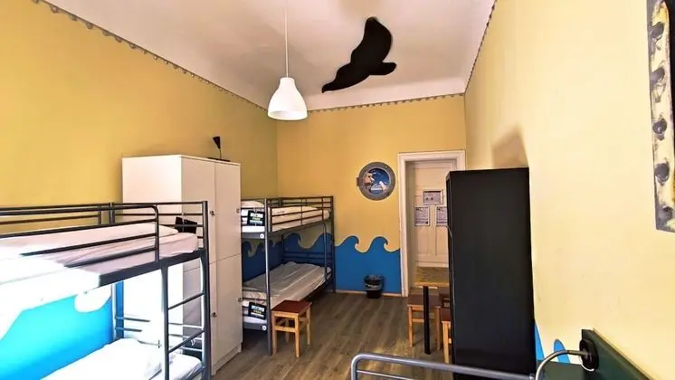 Basic Ortak Ranzalı Oda, Ortak Banyo