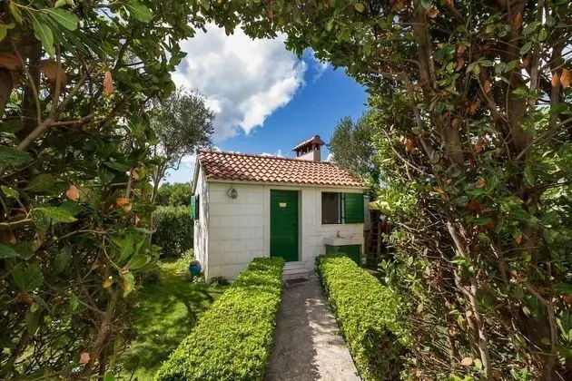 Dört Kişilik Oda, Karma Ranzalı Oda, Ortak Banyo, Bahçe Manzaralı