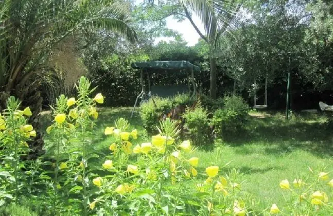 Tek Büyük Yataklı Oda, 1 Büyük (Queen) Boy Yatak, Ortak Banyo, Bahçe Manzaralı