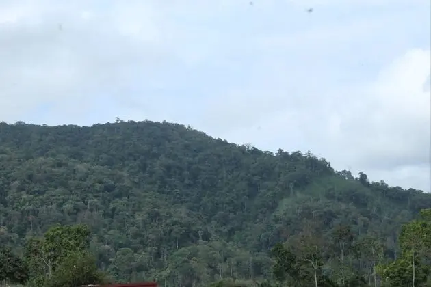 Family Dört Kişilik Oda