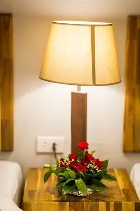 Luxury Single Room (Room 1)