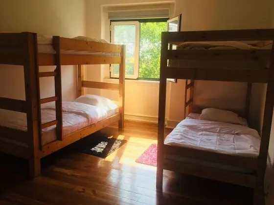 Ortak Ranzalı Oda, Karma Ranzalı Oda, Ortak Banyo (1 bed in 4 Bed Dorm)