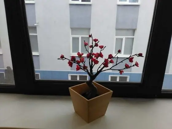 Ortak Ranzalı Oda (8 beds)
