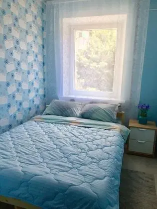 Standard Tek Büyük Yataklı Oda, 1 Çift Kişilik Yatak