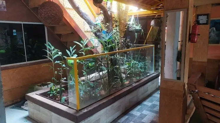 Ortak Ranzalı Oda