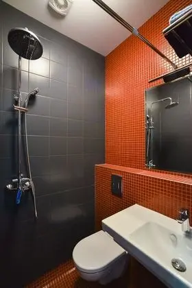 Standard Tek Büyük Yataklı Oda, Özel Banyo